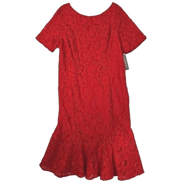 Eva Mendes New York & Co ~Woman Plus Size 2X~Red Short Sleeve Lined Dress Party - Picture 1 of 12